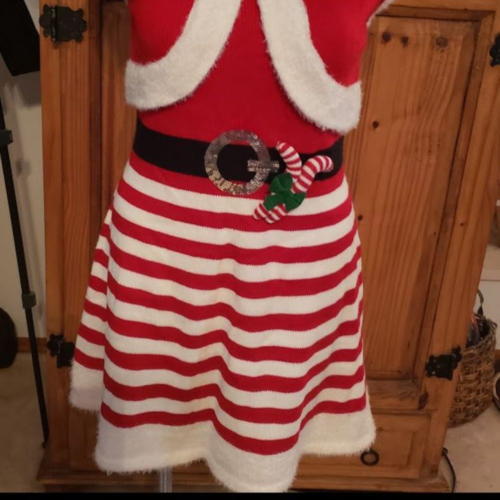 Mrs Santa holiday dress by Reference Point HTF sz Large New with tags - Picture 2 of 5